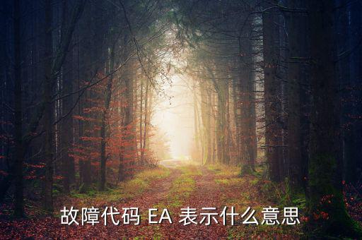 華泰ea什么意思，故障代碼 EA 表示什么意思