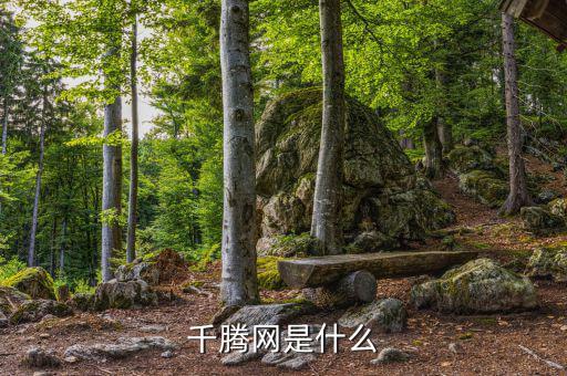 千微網(wǎng)是什么，千庫(kù)網(wǎng)是做什么的