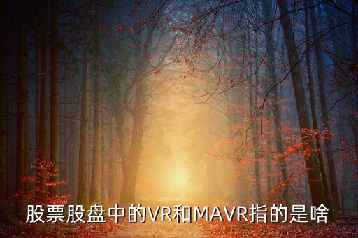 vr股是什么，股票股盤中的VR和MAVR指的是啥