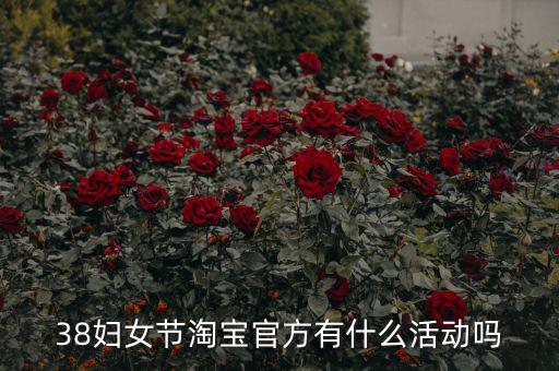 三八婦女節(jié)各個(gè)電商有什么活動(dòng)，淘寶店在三八節(jié)可以搞些什么活動(dòng)