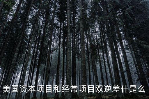 美國資本項(xiàng)目和經(jīng)常項(xiàng)目雙逆差什是么