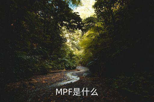 mpf是什么費用，網(wǎng)購中的EMS費用是什么費用