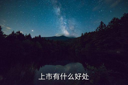 上市有什么好處，上市公司有什么好處