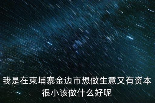 柬埔寨投資100萬元能干什么，我是在柬埔寨金邊市想做生意又有資本很小該做什么好呢