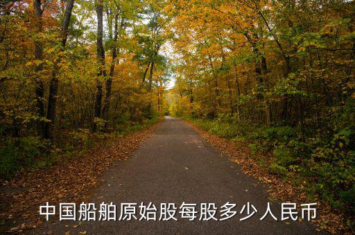 中國(guó)船舶原始股每股多少人民幣