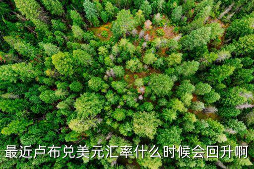 盧布什么時(shí)候能回升，最近盧布兌美元匯率什么時(shí)候會(huì)回升啊