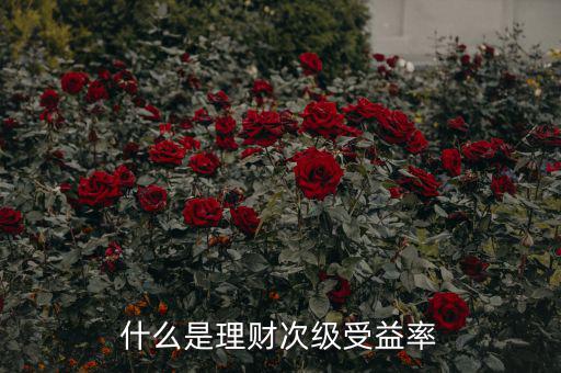 次級收益是什么，什么是理財次級受益率