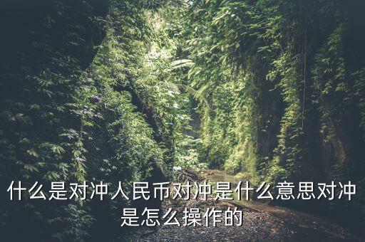什么是基金a基金b對(duì)沖，什么是對(duì)沖人民幣對(duì)沖是什么意思對(duì)沖是怎么操作的