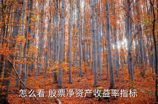怎么看 股票凈資產收益率指標
