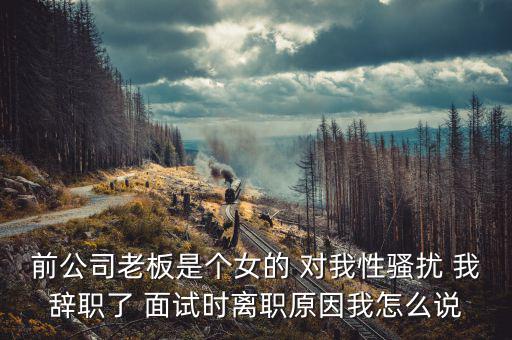 李維金為什么辭職，前公司老板是個女的 對我性騷擾 我辭職了 面試時離職原因我怎么說
