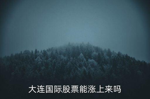 大連國際什么時(shí)候漲，大連國際股票能漲上來嗎