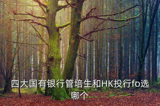 四大去投行有什么優(yōu)勢，女 研究生畢業(yè)想進投行 考研想考北大 清華 復(fù)旦或者香港大學(xué) 請問這四