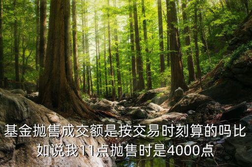 基金拋售成交額是按交易時刻算的嗎比如說我11點(diǎn)拋售時是4000點(diǎn)