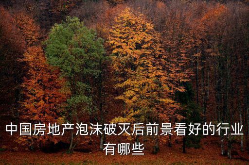 房地產(chǎn)泡沫后什么行業(yè)賺錢(qián)，如果真有一天中國(guó)房地產(chǎn)泡沫破了我們做點(diǎn)什么賺錢(qián)呢或者說(shuō)有
