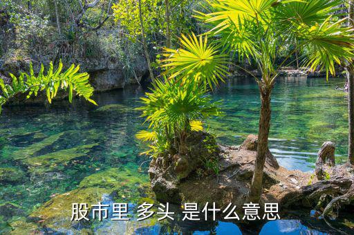股市里什么叫多頭，股市里 多頭 是什么意思