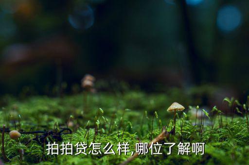 拍拍貸怎么查詢?cè)u(píng)級(jí),拍拍貸款信用狀況