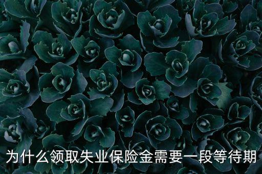 失業(yè)保險(xiǎn)為什么應(yīng)設(shè)等待期限，為什么領(lǐng)取失業(yè)保險(xiǎn)金需要一段等待期