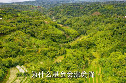 基金為什么會漲跌，基金有漲有落的原因