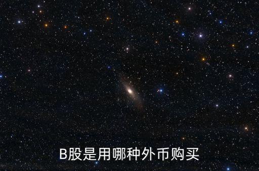 b股分紅支付什么貨幣，B股是用哪種外幣購(gòu)買(mǎi)
