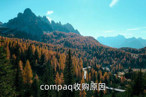 泰一指尚為什么被收購，compaq收購原因