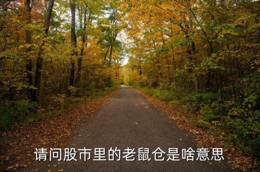 股市老鼠倉(cāng)什么意思，股票 老鼠倉(cāng)是什么意思