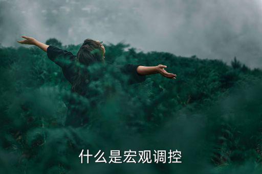 宏觀調(diào)控的定義是什么，怎么理解宏觀調(diào)控