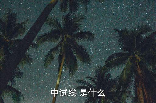 中試線是什么意思，中試線 是什么