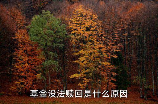 為什么基金不能贖回，為什么我的基金不能贖回