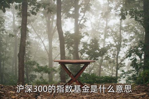 基金滬深300什么，滬深300的指數(shù)基金是什么意思