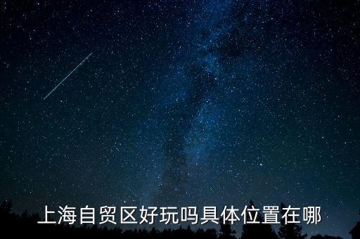 上海自貿(mào)區(qū)有什么好玩的，上海自貿(mào)區(qū)參觀有啥好玩的