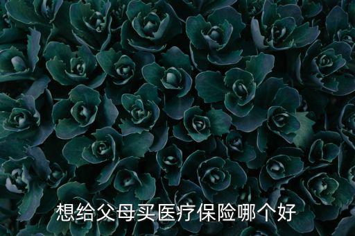 給父母買什么醫(yī)療保險好，想給父母買醫(yī)療保險哪個好
