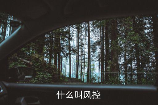 易到風(fēng)控什么意思，什么叫風(fēng)控