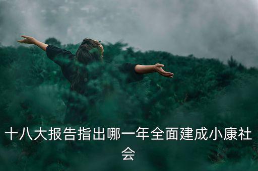 十八大報(bào)告指出哪一年全面建成小康社會