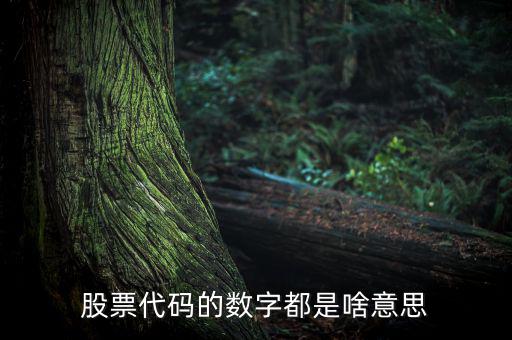股票名稱下面的數(shù)字是什么，請(qǐng)教高手股票名稱后面的那些數(shù)字代表什么意思