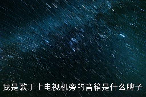 我是歌手上電視機旁的音箱是什么牌子