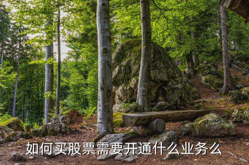 買股票到銀行開通什么業(yè)務(wù)，炒股票需要什么銀行卡銀行卡要開通什么