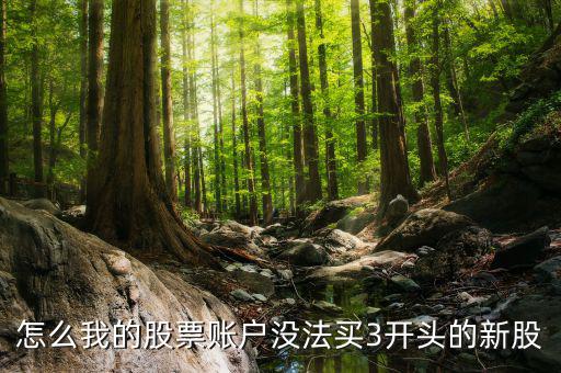 3開(kāi)頭的股票為什么不能買(mǎi)，請(qǐng)問(wèn)新開(kāi)戶(hù)的股民為什么不能買(mǎi)3字開(kāi)頭的股票