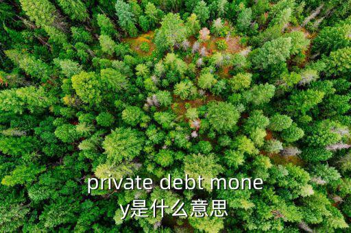 私人配售什么意思，private debt placement是什么意思啊