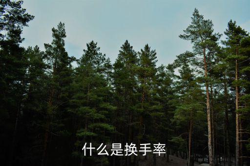換手率說明什么，什么是換手率