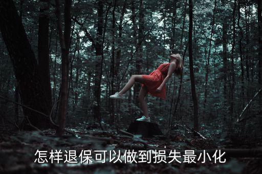 怎樣退?？梢宰龅綋p失最小化