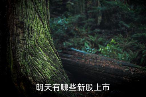 明天什么股票上市，明天有哪些新股上市