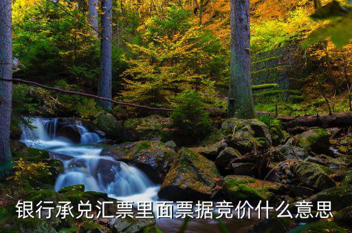 票據(jù)網(wǎng)交易是什么意思，中國票據(jù)網(wǎng)httpwwwzgpjwcom中的票據(jù)轉(zhuǎn)貼直貼買入直貼賣出