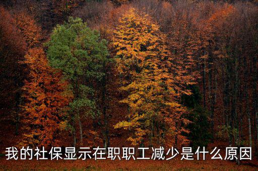 社保突然降了是什么原因，我的社保顯示在職職工減少是什么原因