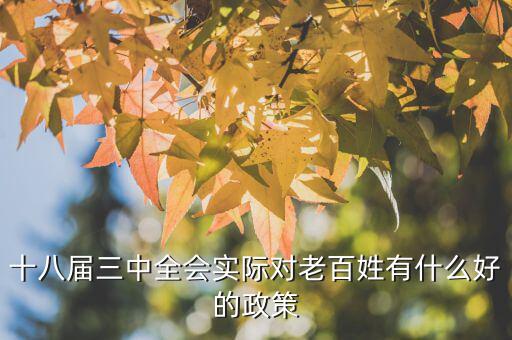 十八屆三中以來(lái)對(duì)此出臺(tái)了什么文件，剛剛閉幕的十八屆三中全會(huì)發(fā)布的公告其核心內(nèi)容是什么