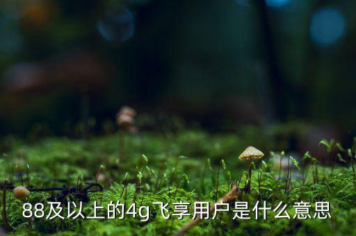 4g用戶是什么意思，88及以上的4g飛享用戶是什么意思
