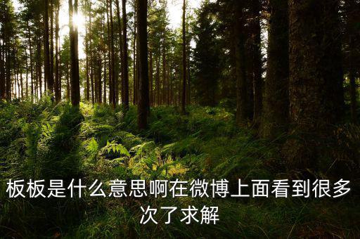 要板了是什么意思，板板是什么意思啊在微博上面看到很多次了求解