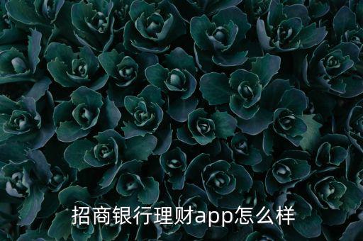 招商行全額寶怎么樣,招商銀行理財app有什么好處?