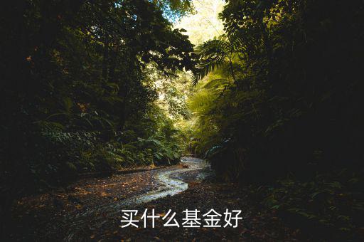 購(gòu)買(mǎi)什么基金好，買(mǎi)哪個(gè)基金好呢