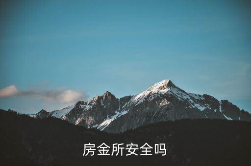 房金所平臺(tái)背景是什么，房總管金融有了解他是什么背景的嗎目前做公寓資金遇到了一些問(wèn)題