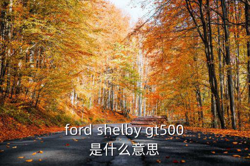 東盟油500是什么，ford shelby gt500是什么意思